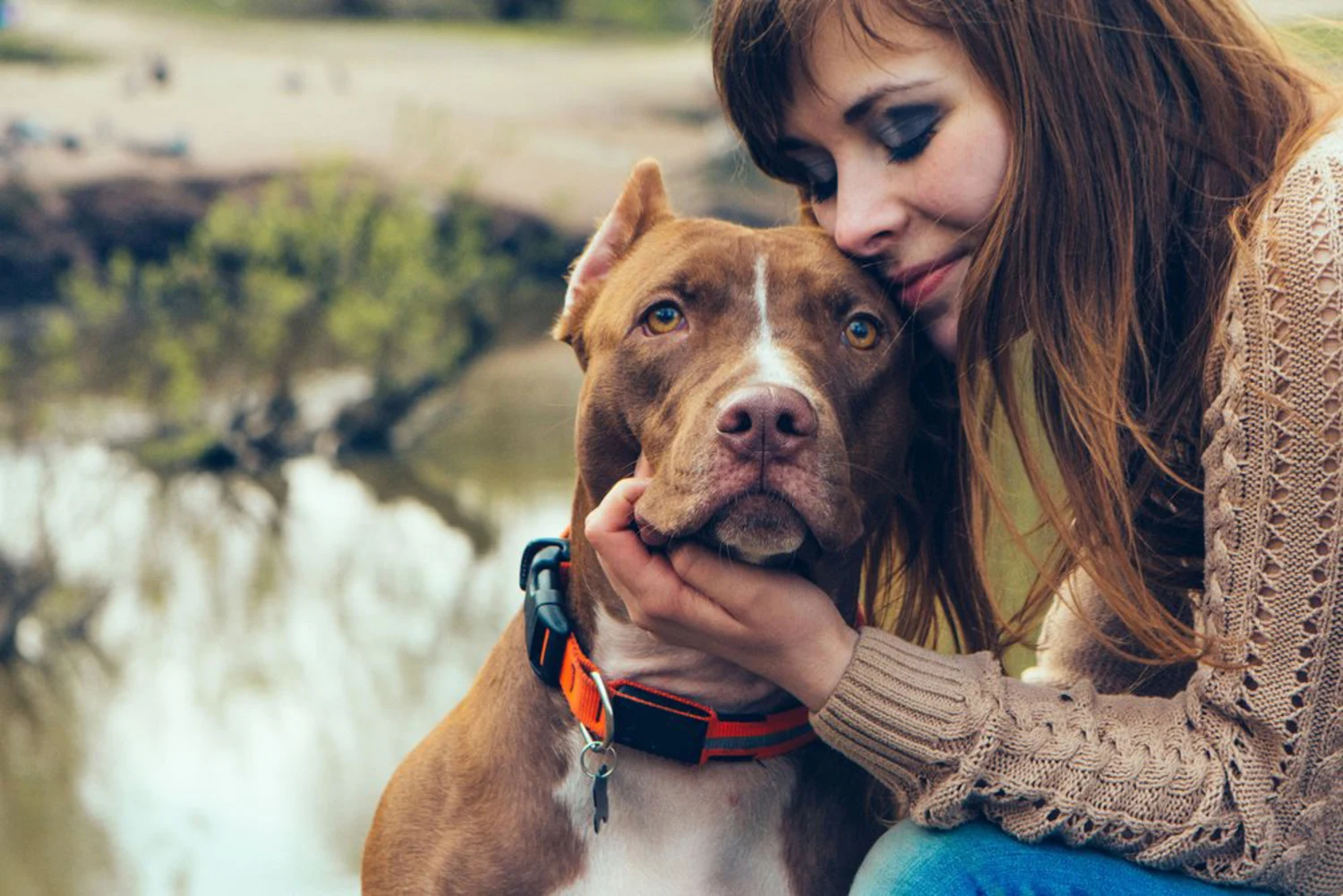 Pet Care Tips: A Practical Guide to Keeping Pets Happy and Healthy
